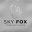 skyfoxsilver.com favicon